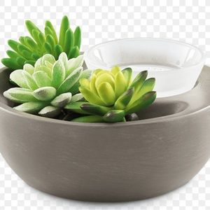 SCENTSY LITTLE GARDEN WARMER